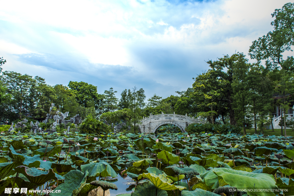 城市中国风古石板桥