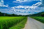 乡村道路