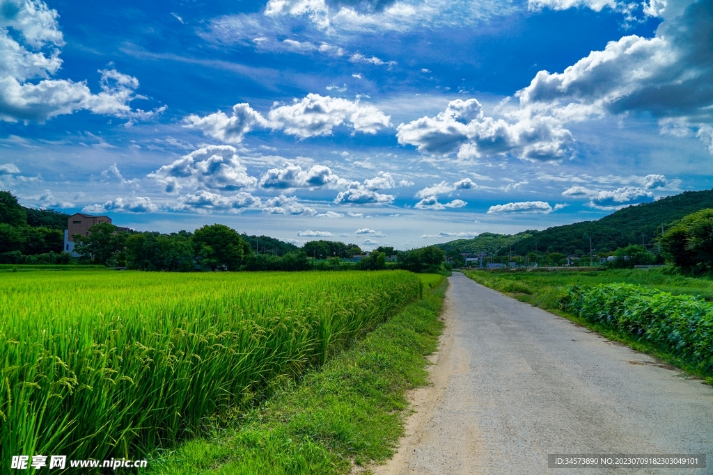 乡村道路