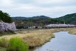 乡村湿地