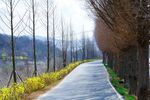 乡间道路