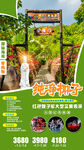 三亚旅游  