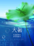 大暑海报  