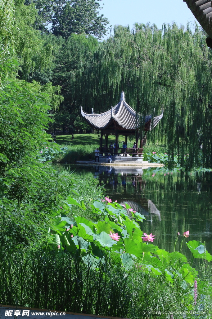 公园风景  