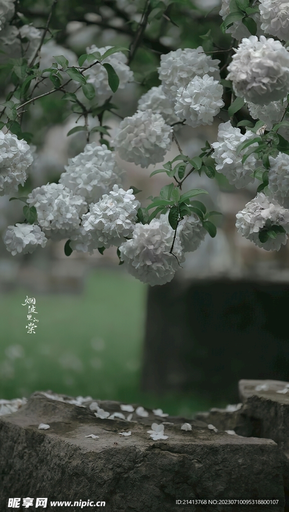 生活点滴素材