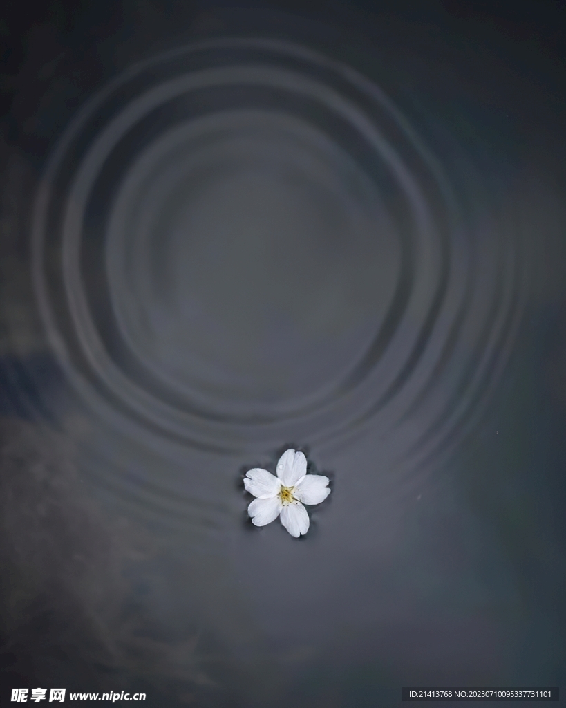 生活点滴素材