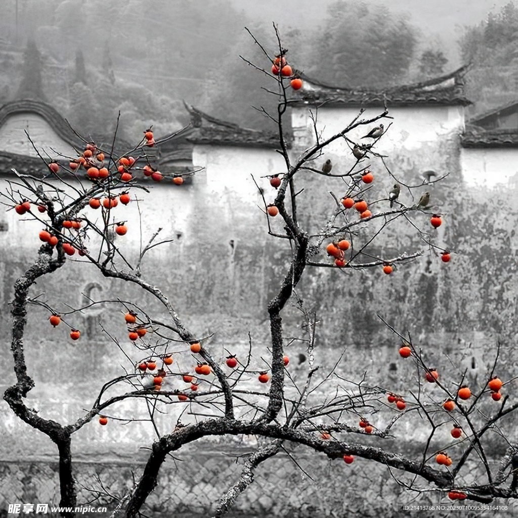 生活点滴素材