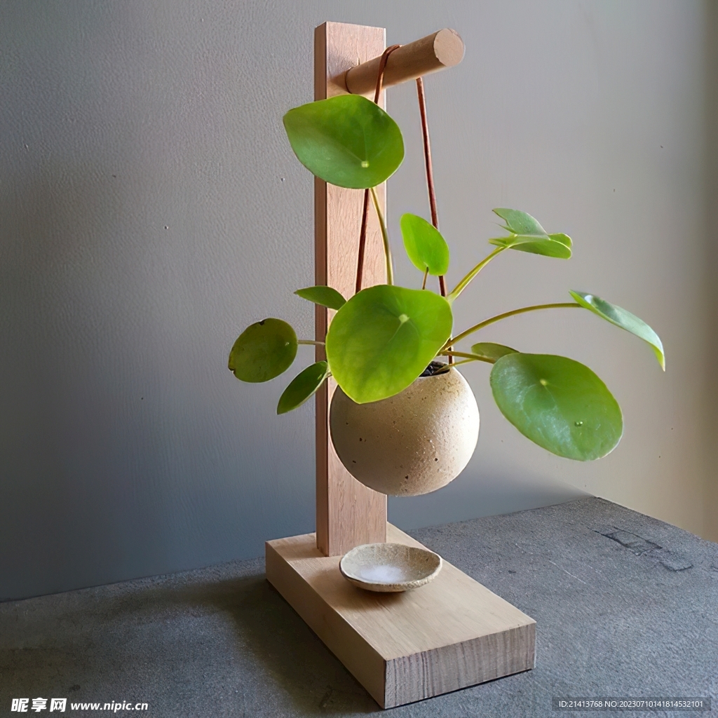 绿植绿叶植物