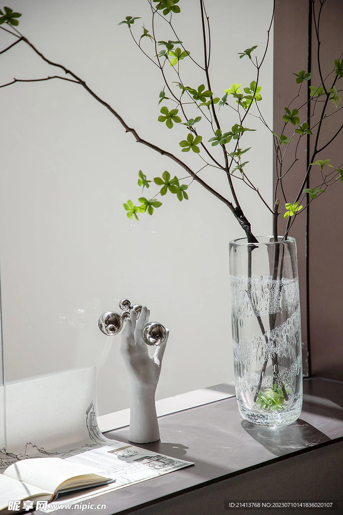 绿植绿叶植物