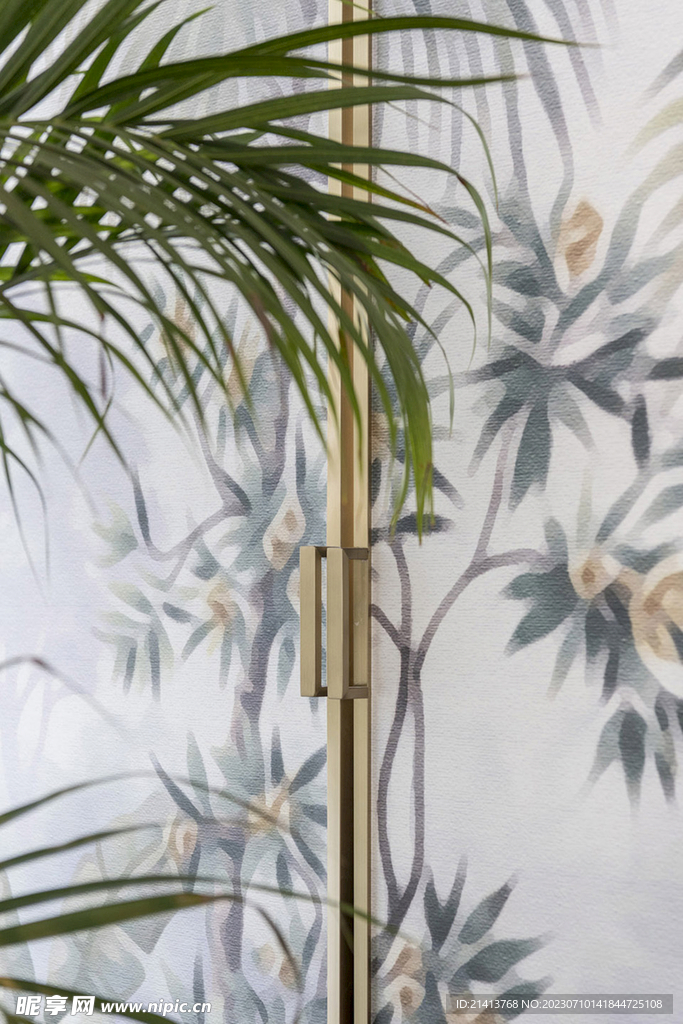 绿植绿叶植物