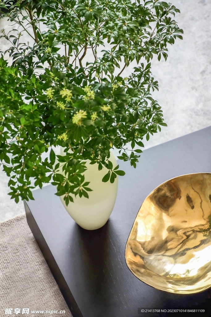 绿植绿叶植物