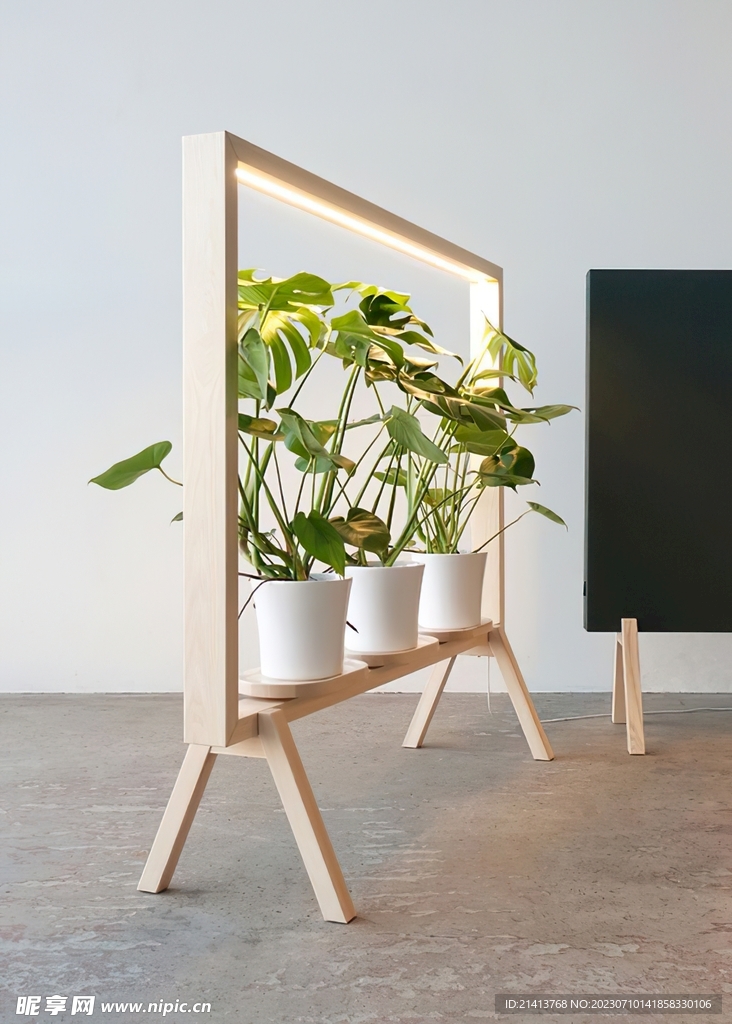 绿植绿叶植物