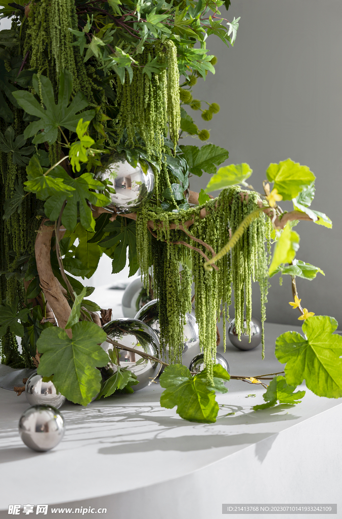 绿植绿叶植物