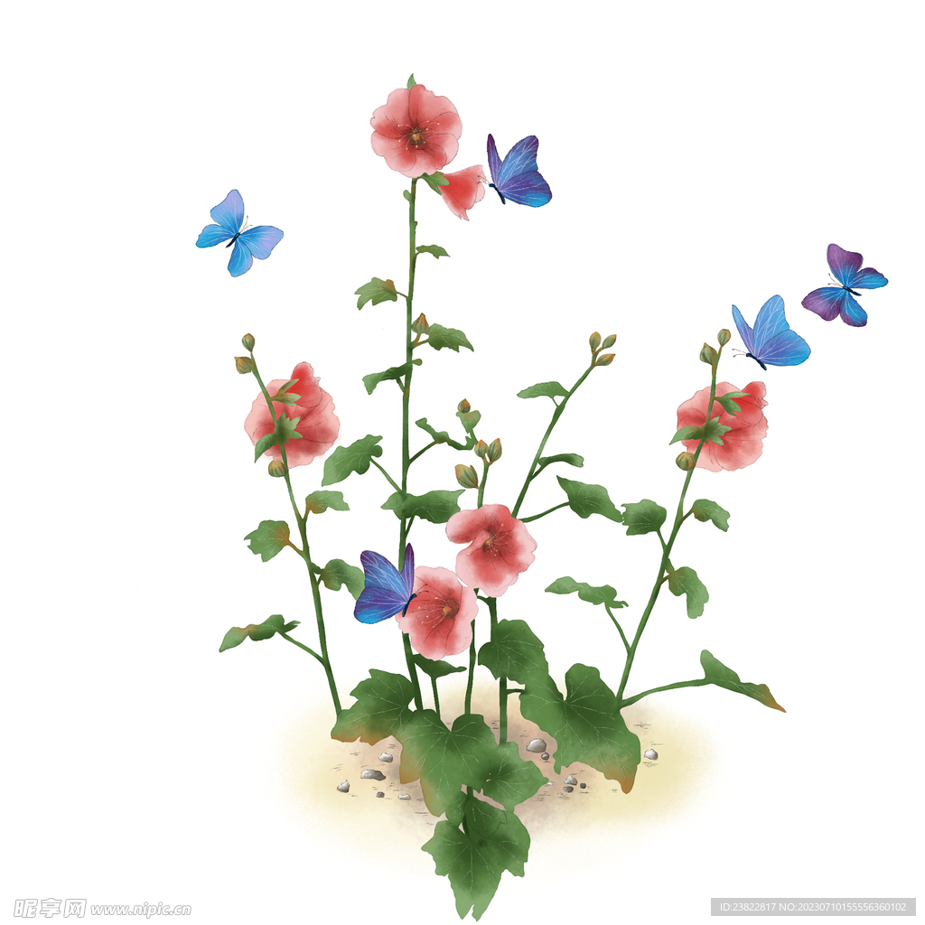 蜀葵花与蝴蝶夏季花卉元素图