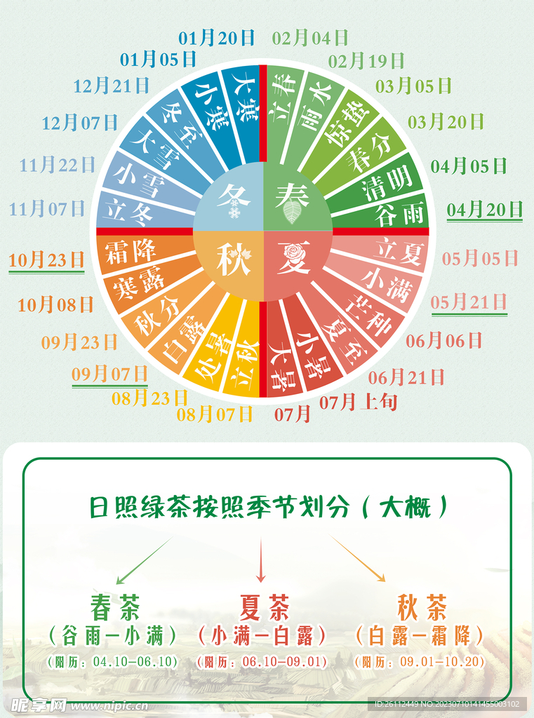 日照绿茶节气分布