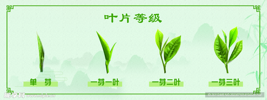 叶片等级