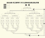 台球比赛排名