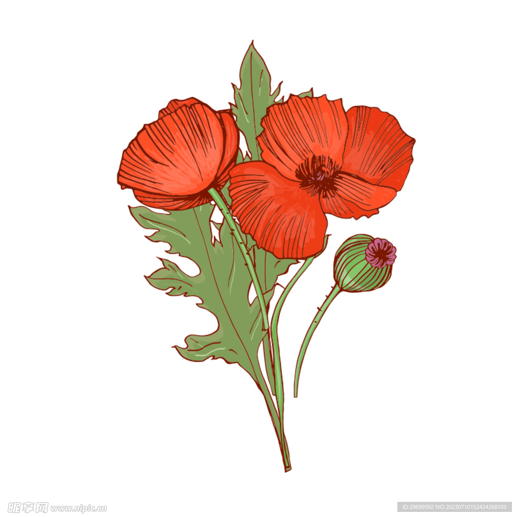 手绘花卉