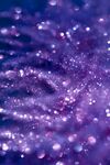 紫色颗粒