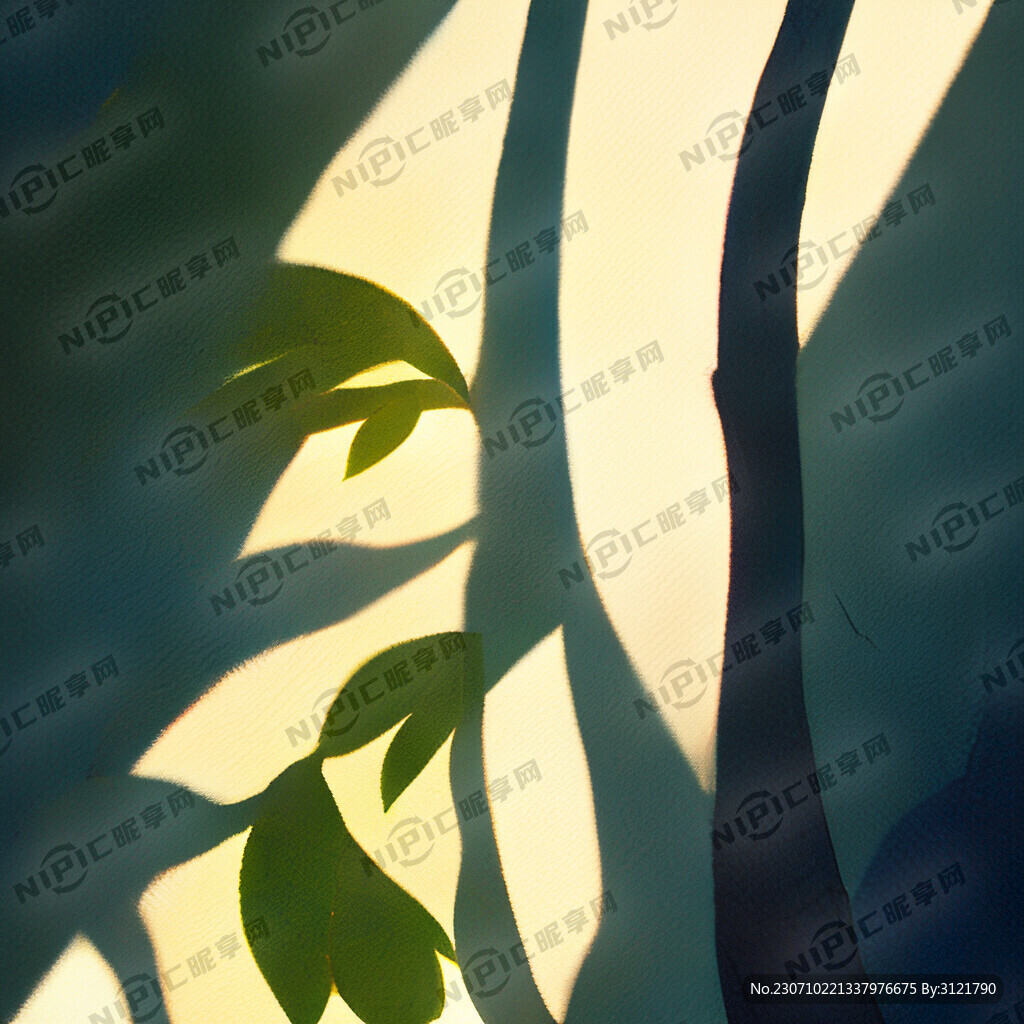 夏日树叶光影