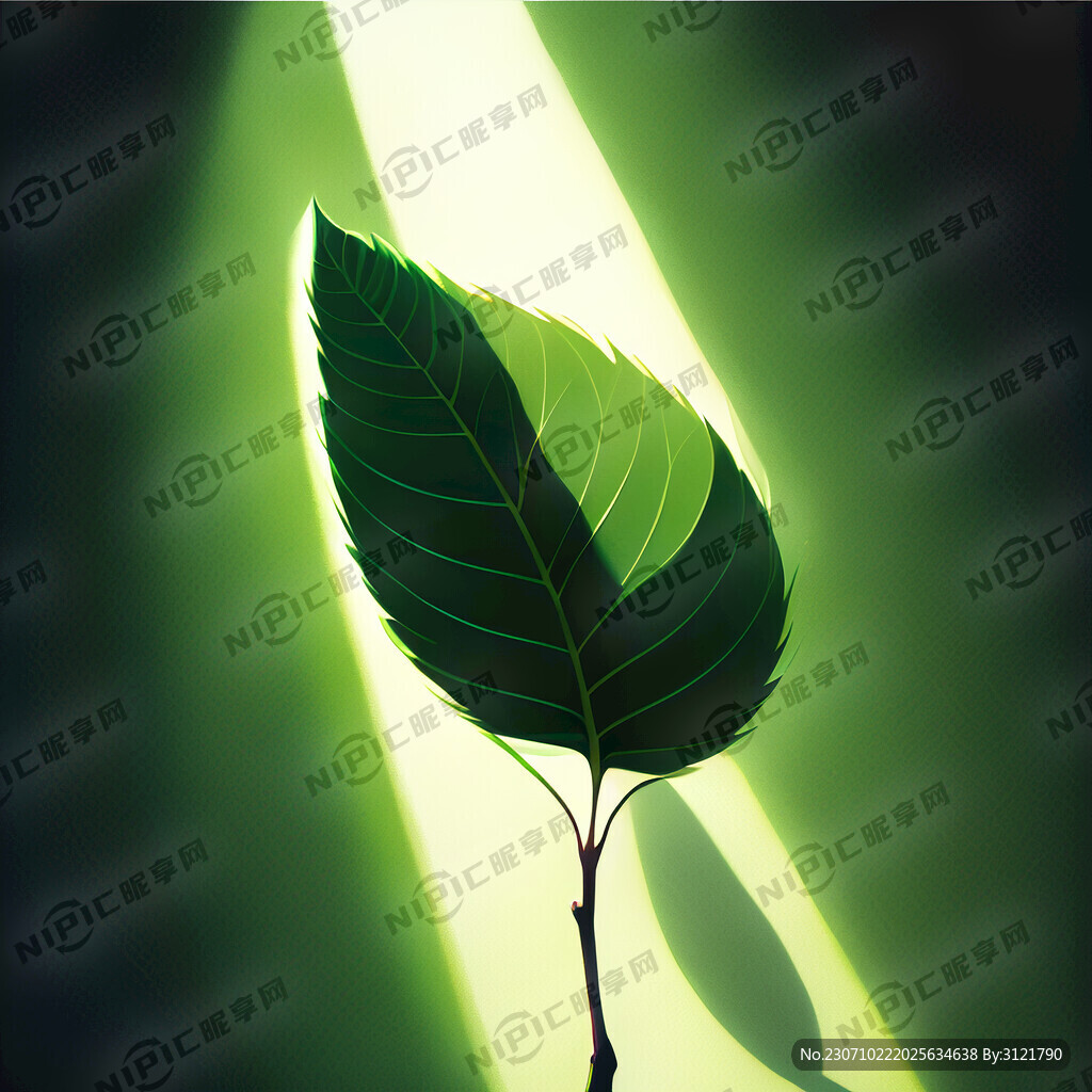 树叶绿色光影