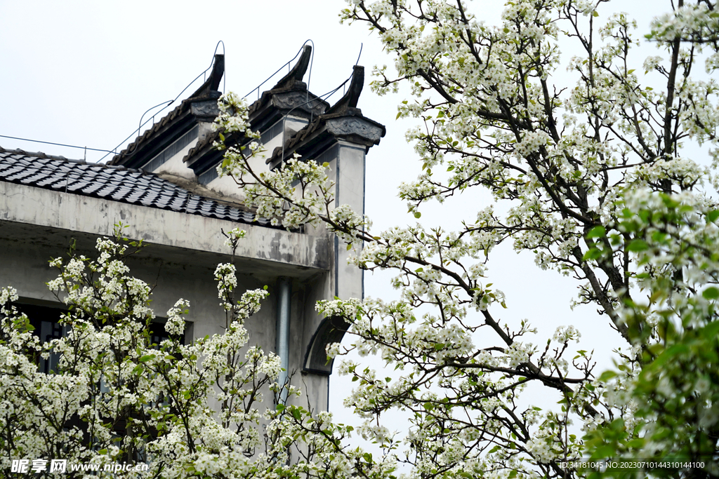 古镇风景