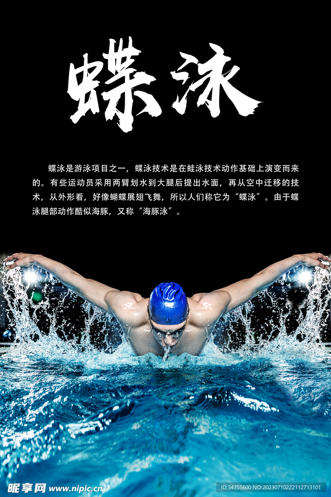 蝶泳海报