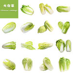 大白菜