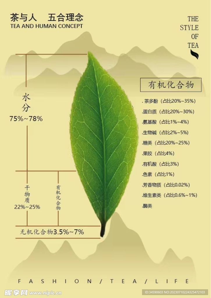 茶叶价绍海报