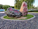 公园石头风景
