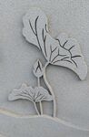 浮雕花纹
