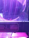 水母