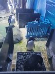 企鹅