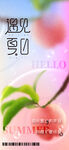 夏天 