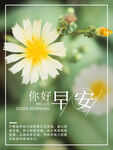 早安