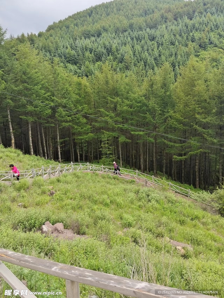 山林