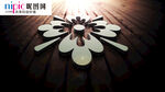 LOGO样机图片