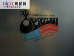 LOGO样机图片