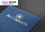 LOGO样机图片