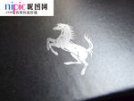 LOGO样机图片
