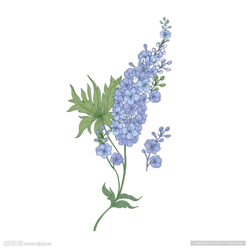 手绘花卉