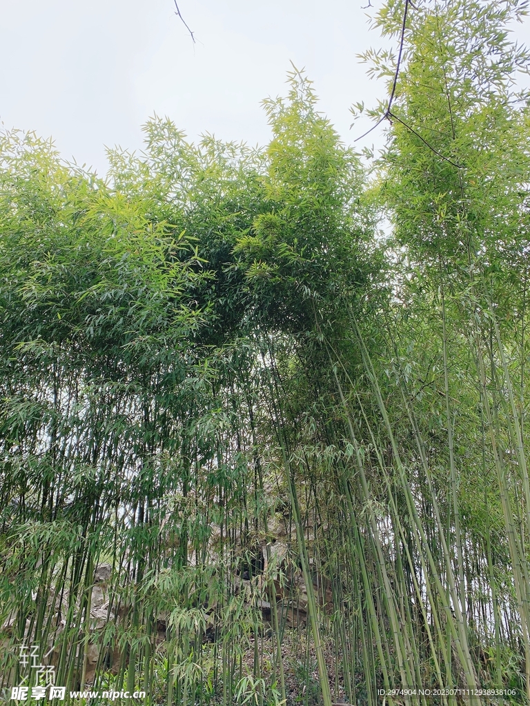 无锡蠡园