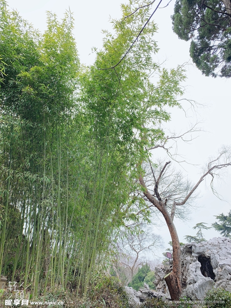无锡蠡园