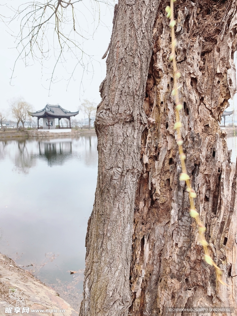 无锡蠡园