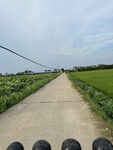 田园风光