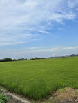 田园风光 