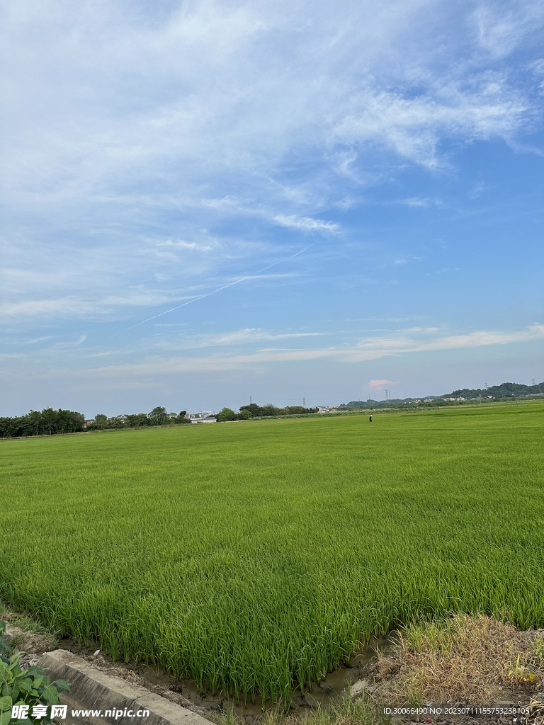 田园风光 