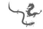 龙