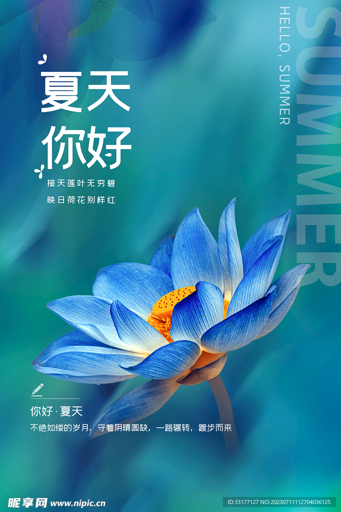 夏天你好