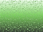 水珠